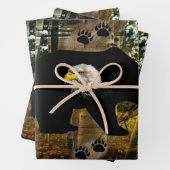 Bär Geschenkpapier Set (Beispiel)