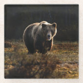 Bär Glasuntersetzer (Vorderseite)