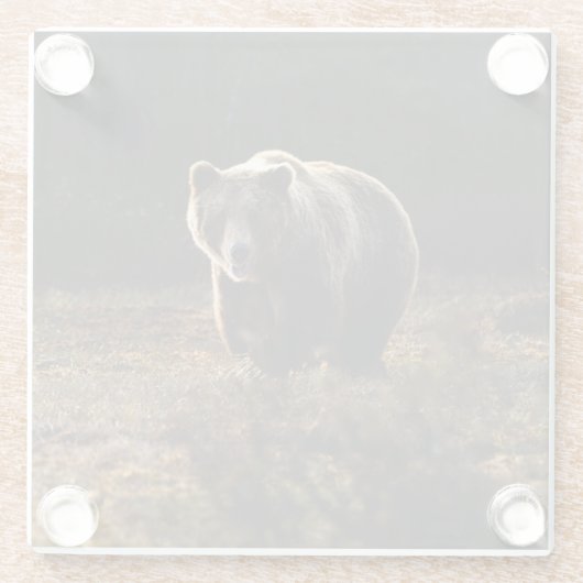 Bär Glasuntersetzer (Rückseite)