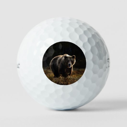 Bär Golfball (Vorderseite)