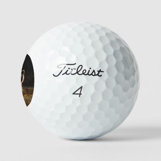 Bär Golfball (Logo)