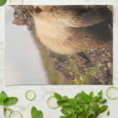 Bär Handtuch (Gefaltet)