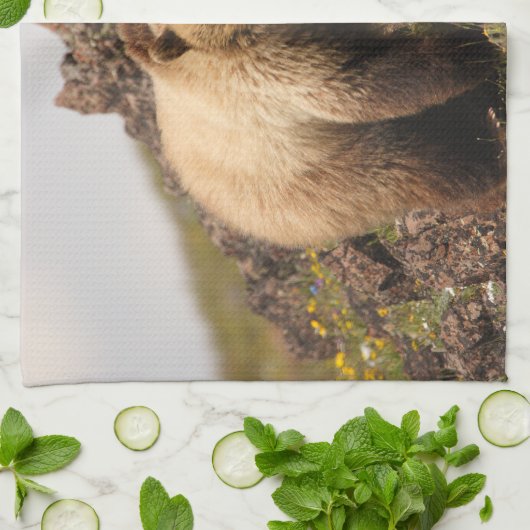 Bär Handtuch (Gefaltet)