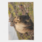 Bär Handtuch (Vertikal)