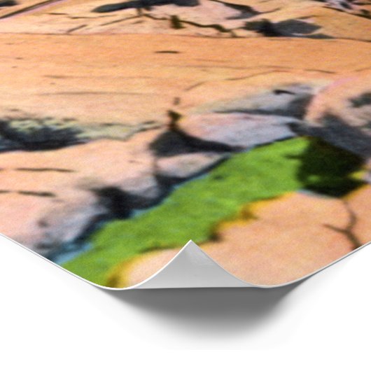 Bar Harbor Maine Thunder Hole Poster (Ecke)