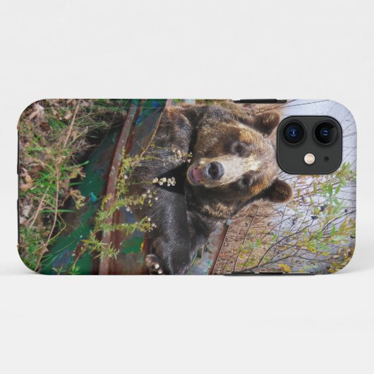 Bär im Boot Case-Mate iPhone Hülle (Rückseite (Horizontal))