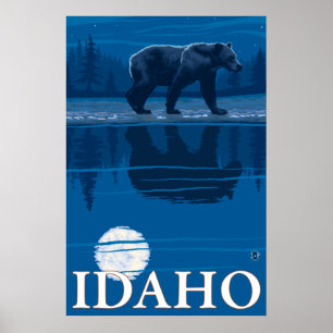 Bär im Mondlicht - Idaho Poster