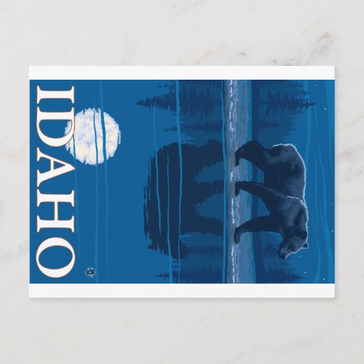 Bär im Mondlicht - Idaho Postkarte (Vorderseite)