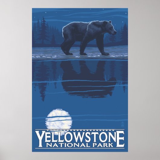 Bär im Mondlicht - Yellowstone Nationalpark Poster (Vorne)