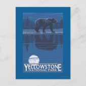 Bär im Mondlicht - Yellowstone Nationalpark Postkarte (Vorderseite)
