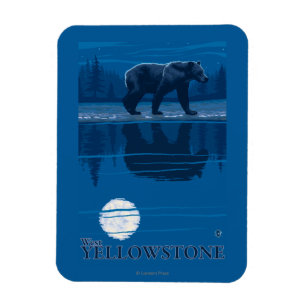 Bär im Mondschein - WestYellowstone, Montana Magnet