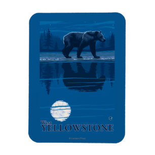 Bär im Mondschein - WestYellowstone, Montana Magnet