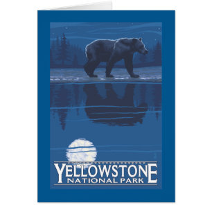 Bär im Mondschein - Yellowstone Nationalpark