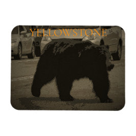 Bär im Road Yellowstone Nationalpark WY Magnet