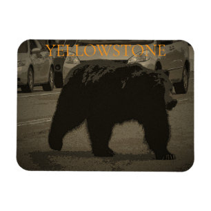 Bär im Road Yellowstone Nationalpark WY Magnet