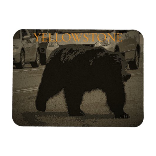 Bär im Road Yellowstone Nationalpark WY Magnet (Horizontal)