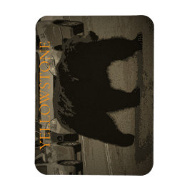 Bär im Road Yellowstone Nationalpark WY Magnet