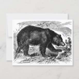 Bär in der Prärie Postkarte