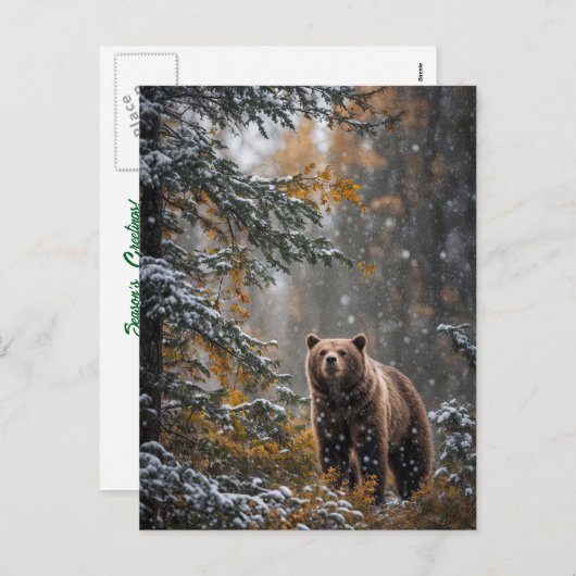 Bär in Schnee Weihnachten Frohe Festtage (Vorne/Hinten)