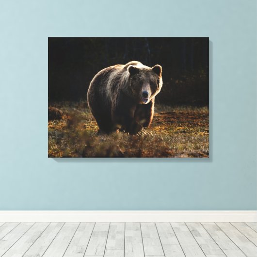 Bär Leinwanddruck (Insitu (Holzboden))