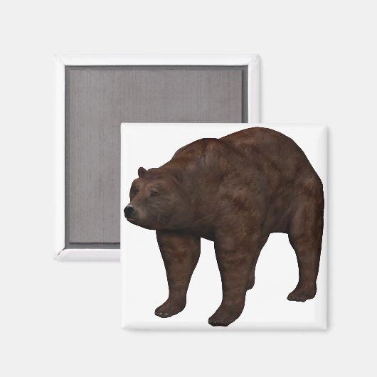 Bär Magnet (Vorderseite/Rückseite)