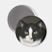 Bär Magnet (Vorderseite/Rückseite)