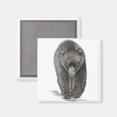 Bär Magnet (Vorderseite/Rückseite)