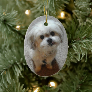 Bär Malshi Oval Weihnachtsschmuck