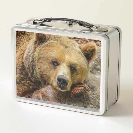 Bär Metall Brotdose (Rückseite)