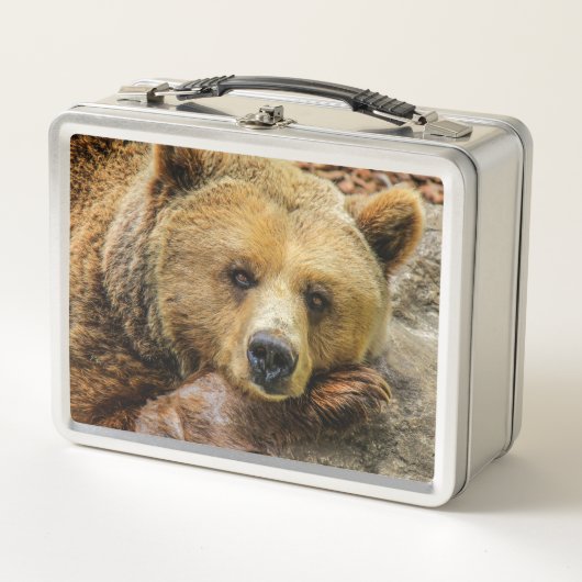Bär Metall Brotdose (Vorderseite)