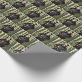 Bär mit Birthday Beer Geschenkpapier (Ecke)