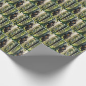 Bär mit Birthday Beer Geschenkpapier (Ecke)