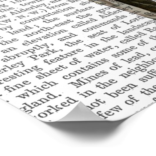 Bär mit Cocktail Poster (Ecke)