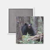 Bär mit mir magnet (Vorderseite/Rückseite)