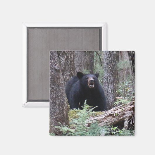 Bär mit mir magnet (Vorderseite/Rückseite)