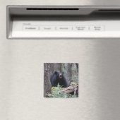 Bär mit mir magnet (In Situ (Geschirrspüler))