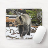 Bär Mousepad (Mit Mouse)