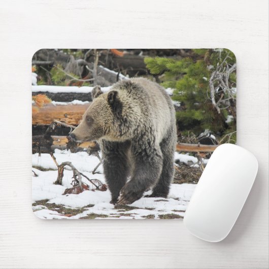 Bär Mousepad (Mit Mouse)