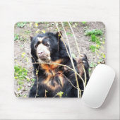 Bär Mousepad (Mit Mouse)