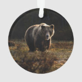 Bär Ornament (Rückseite)