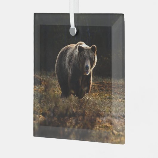 Bär Ornament Aus Glas (Vorderseite links)