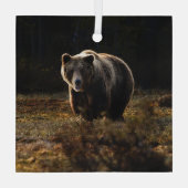 Bär Ornament Aus Glas (Rückseite)