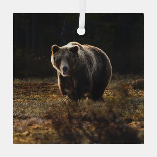 Bär Ornament Aus Glas (Rückseite)