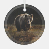 Bär Ornament Aus Glas (Vorderseite)