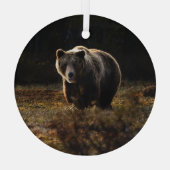 Bär Ornament Aus Glas (Rückseite)