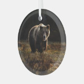 Bär Ornament Aus Glas (Vorderseite links)
