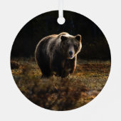 Bär Ornament Aus Metall (Rückseite)