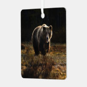 Bär Ornament Aus Metall (Vorderseite links)