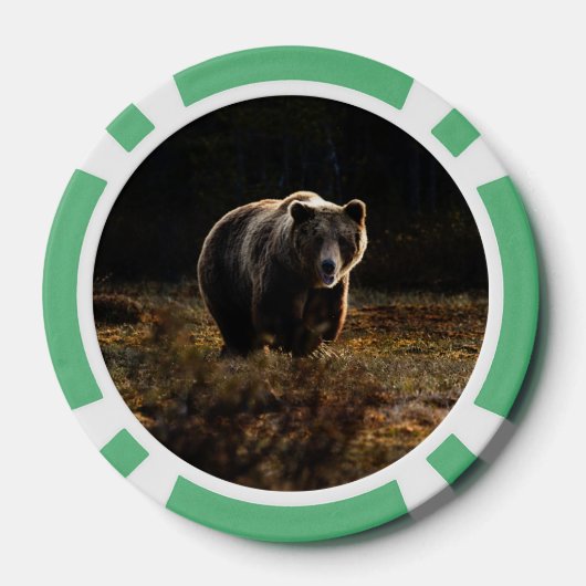 Bär Pokerchips (Rückseite)