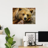 Bär Poster (Heimbüro)
